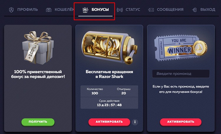 Раздел бонусов